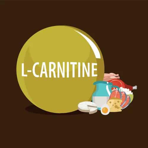l-carnitine-thanh-phan-yo-slim